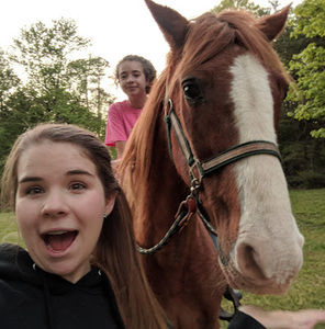 Meet your Posher, Molly